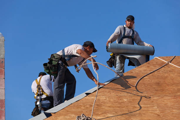 Best Commercial Roof Installation  in Rainbow Park, FL