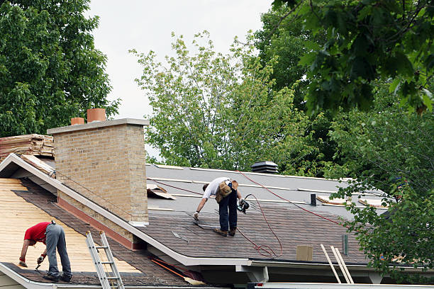 Best Roof Gutter Cleaning  in Rainbow Park, FL