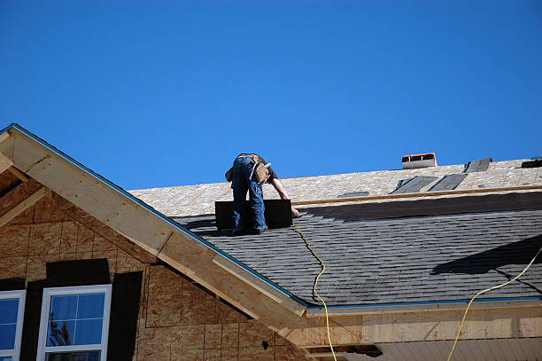 Professional Roofing Contractor in Rainbow Park, FL