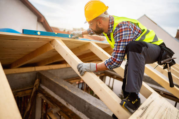 Best Flat Roof Repair Services  in Rainbow Park, FL