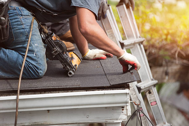 Best Roof Replacement Cost  in Rainbow Park, FL