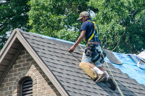 Gutter Installation and Roofing in Rainbow Park, FL